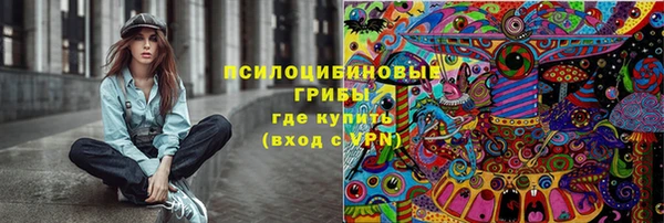 сатива Верхний Тагил